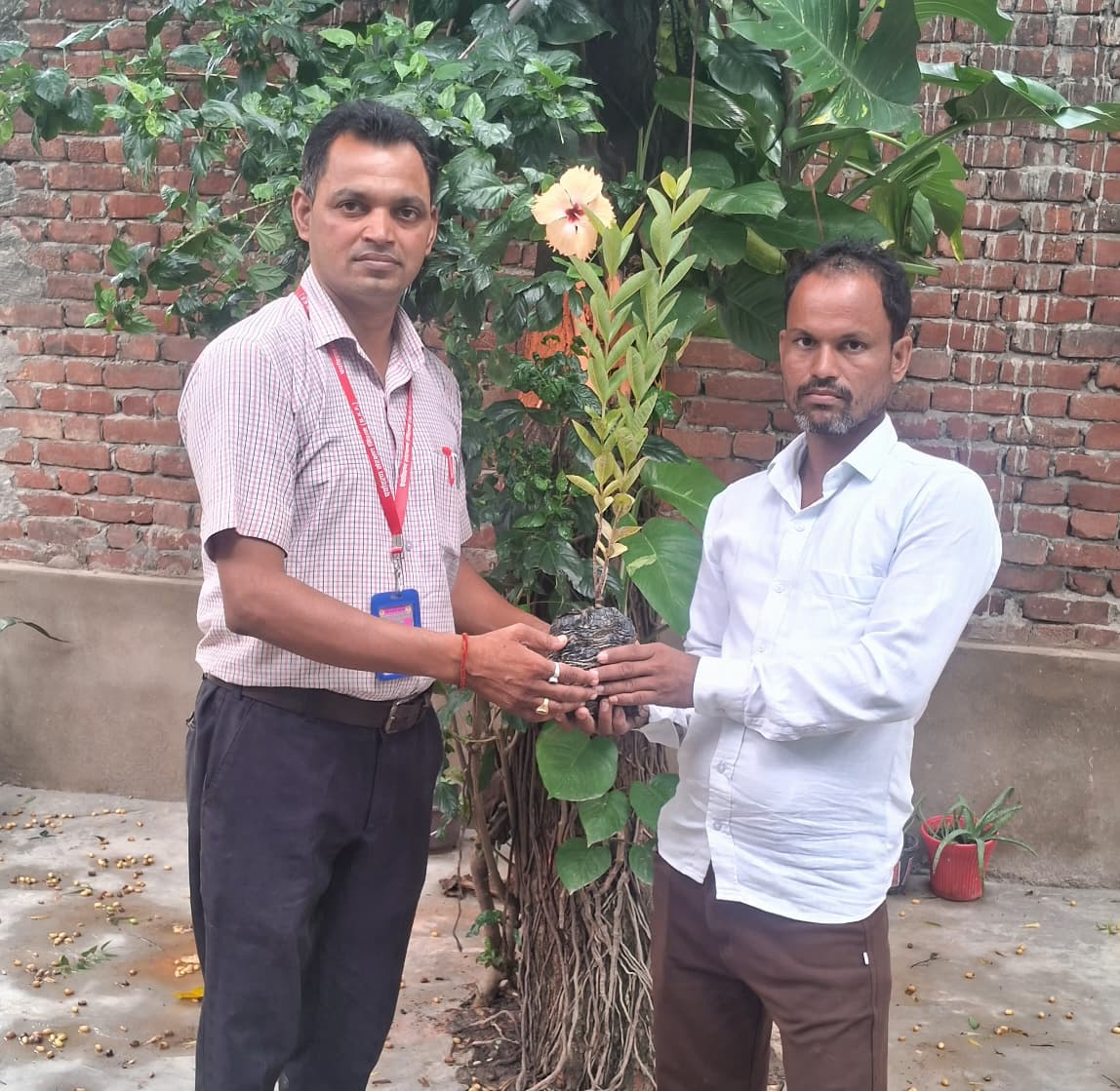 निःशुल्क पौध वितरण अभियान